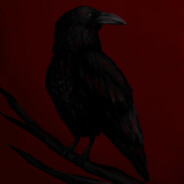 Raven_