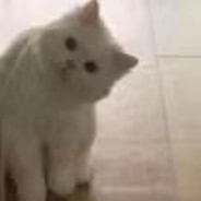 糟糕小蚂蚁大王