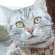 青山医院高级精神病