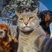 我只会心疼giegie