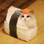 catsushi