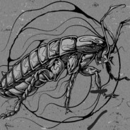 𝓣𝓪𝓻𝓪𝓴𝓪𝓷