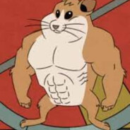 Power Hamster