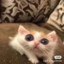 coco_banana