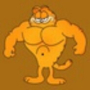 Garfield - steam id 76561199475866233