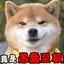 曾英俊2333
