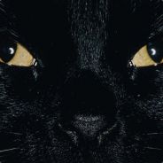 ~PwaLu~ # TaGaDa`GirL