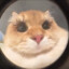 EFG