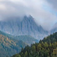 叫我斌哥就好了