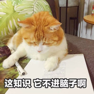 喵咪嘛猫