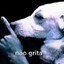nao grita