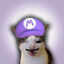 h4nzo