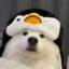 lkhgf