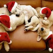 *VIP* Tobbyášek_CZ