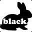 black rabbit