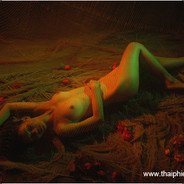 你他妈又借我号