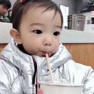 龙猫