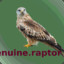 genuine_raptor