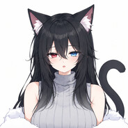 No-Flag 无旗 avatar
