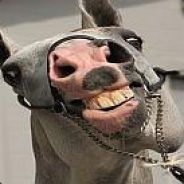 nowe konto      stefun92     bye