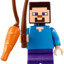 Steve2015