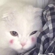 看我会当凌绝顶