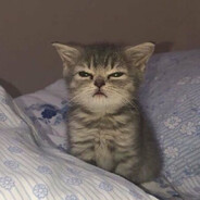 QrrTs - steam id 76561199209523359