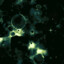 Qptris's avatar
