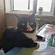 еля плаг