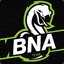 BnA