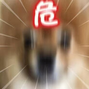 狂野男孩苏大强