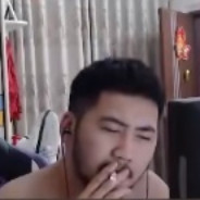 福建素食田园犬