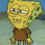 Sponge