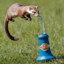 IVapeWeasel