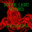 VariableConstant
