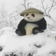 狂踹瘸子那条好腿