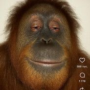 Анальный_Дебошир