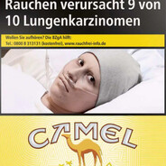 Camel