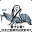 皮皮虾菜不可言