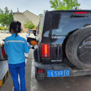 蝶儿总在空中飞