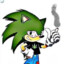 Sonic The Chronic