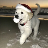 小雪大王的狂热粉丝