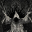 HOST