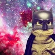DarK CaT