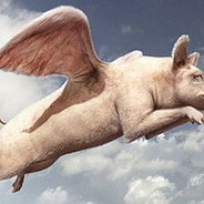 黑天鹅港养的猪