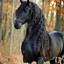 cklinde120