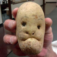 Greg's Carrot