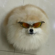 Texugo do Mel