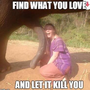 Avatar of Dig Pista more