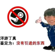 洋游丁真没有引进